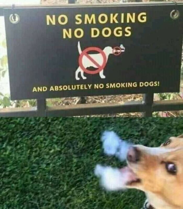 76 Mad Lads Who Saw A Rule And Took It As A Personal Challenge 76 Mad Lads Who Saw A Rule And Took It As A Personal Challenge