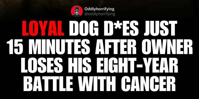 40 Unsettling, Dark And Depressing Stories To Remind You The World Isn’t Just Sunshine And Rainbows (New Pics) 40 Unsettling, Dark And Depressing Stories To Remind You The World Isn’t Just Sunshine And Rainbows (New Pics)