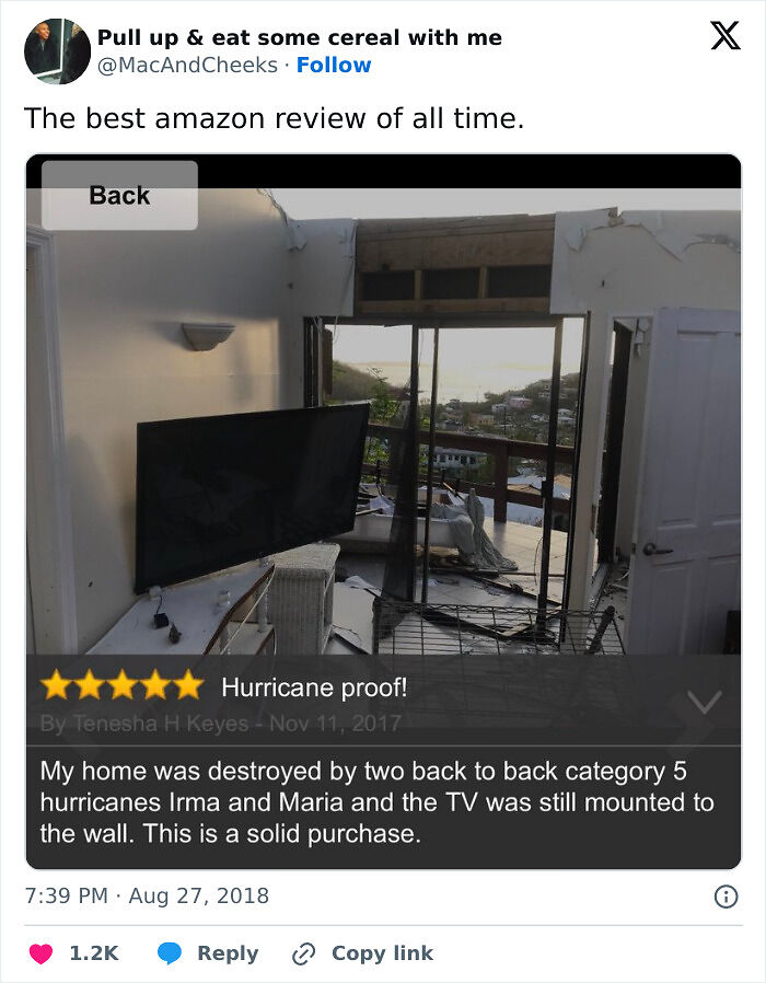 76 Online Reviews That Have No Business Being So Funny