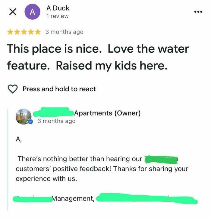 76 Online Reviews That Have No Business Being So Funny