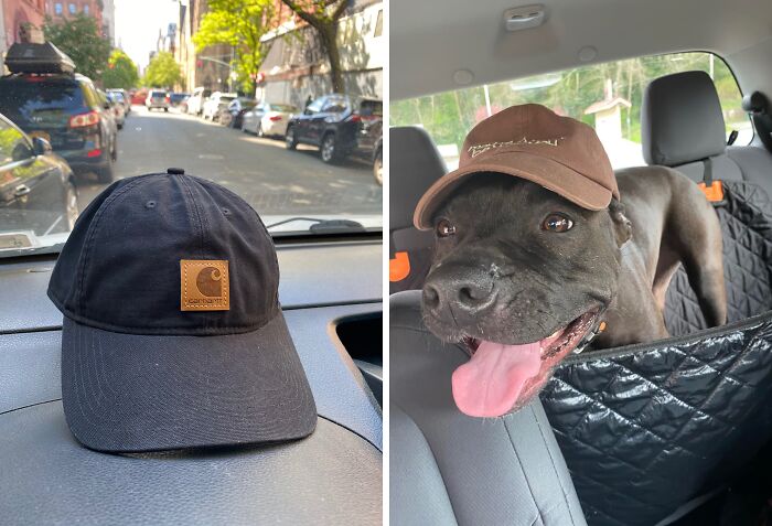 49 Last Minute Father’s Day Gifts That Prove You Can Leave It Late And Still Come Out Looking Great 49 Last Minute Father’s Day Gifts That Prove You Can Leave It Late And Still Come Out Looking Great