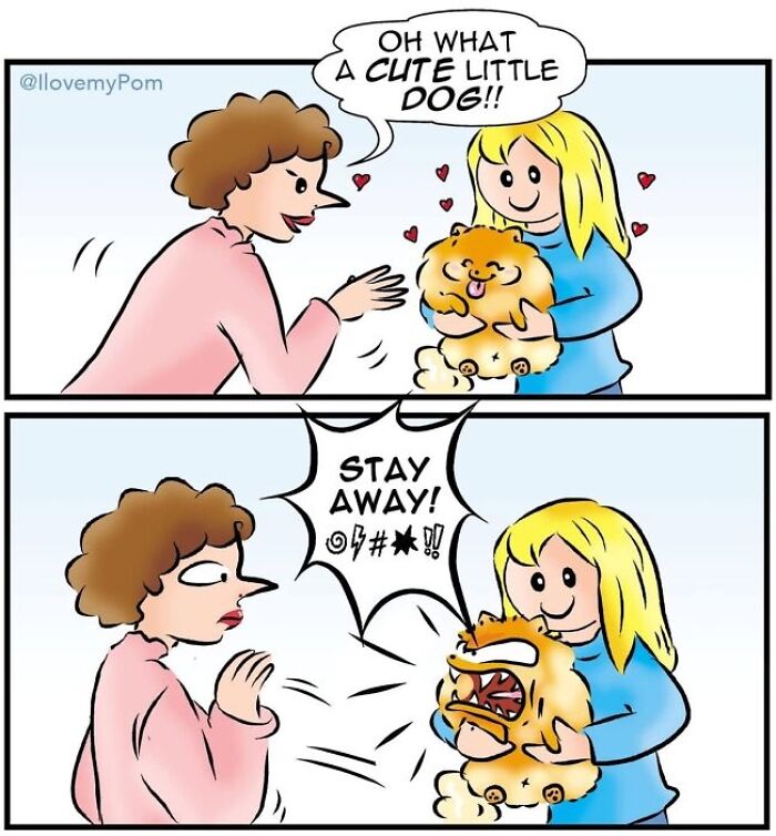 40 Hilariously Accurate Comics By This Artist That Perfectly Capture Life With A Pomeranian