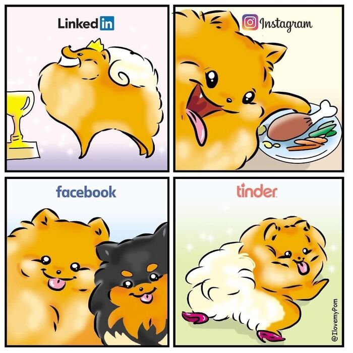 40 Hilariously Accurate Comics By This Artist That Perfectly Capture Life With A Pomeranian