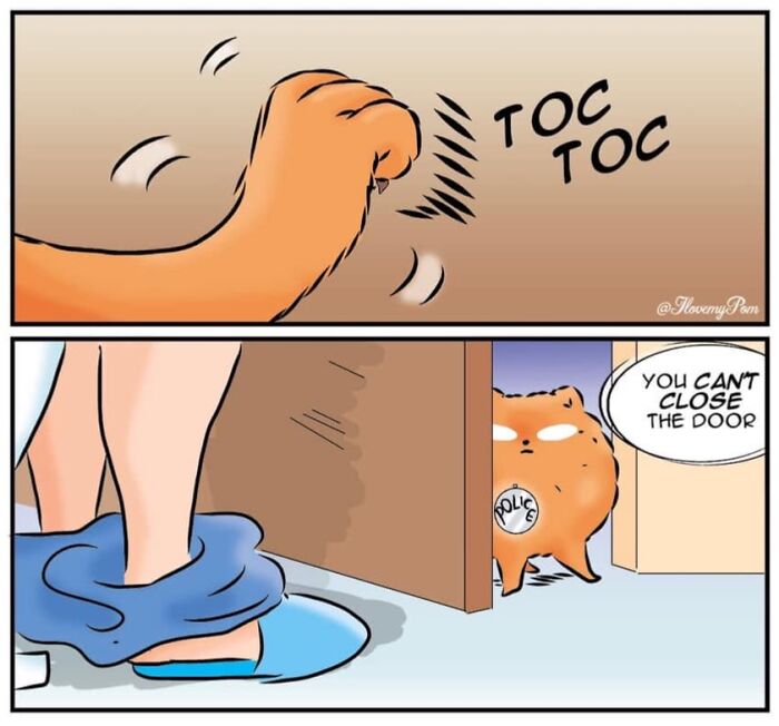 40 Hilariously Accurate Comics By This Artist That Perfectly Capture Life With A Pomeranian