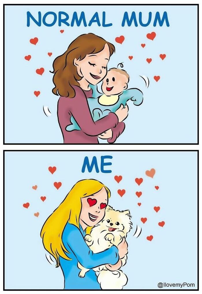 40 Hilariously Accurate Comics By This Artist That Perfectly Capture Life With A Pomeranian