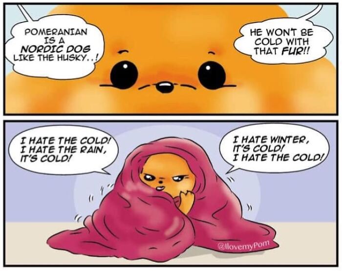 40 Hilariously Accurate Comics By This Artist That Perfectly Capture Life With A Pomeranian
