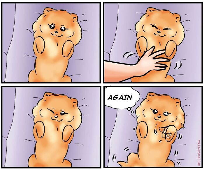 40 Hilariously Accurate Comics By This Artist That Perfectly Capture Life With A Pomeranian