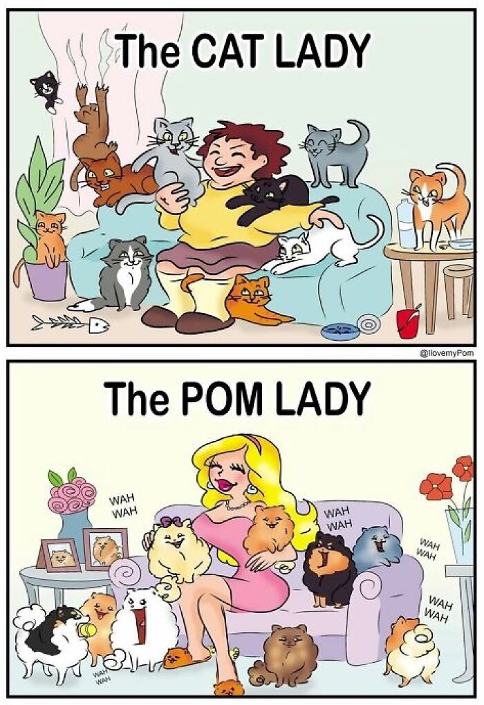 40 Hilariously Accurate Comics By This Artist That Perfectly Capture Life With A Pomeranian