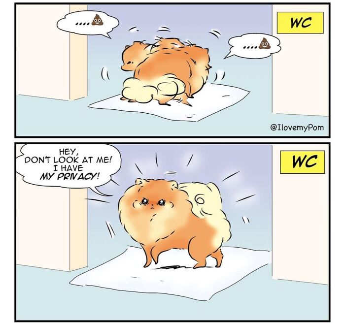 40 Hilariously Accurate Comics By This Artist That Perfectly Capture Life With A Pomeranian