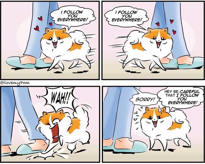 40 Hilariously Accurate Comics By This Artist That Perfectly Capture Life With A Pomeranian