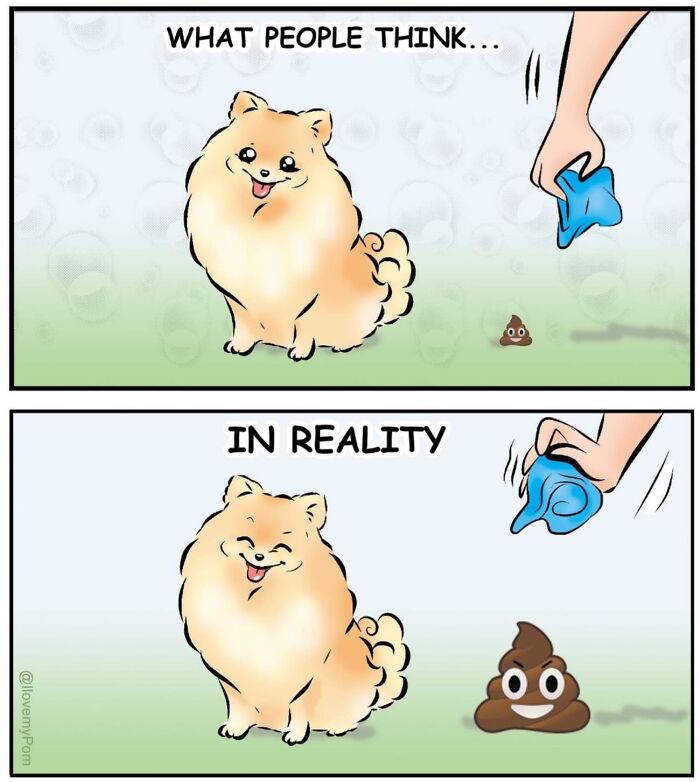 40 Hilariously Accurate Comics By This Artist That Perfectly Capture Life With A Pomeranian