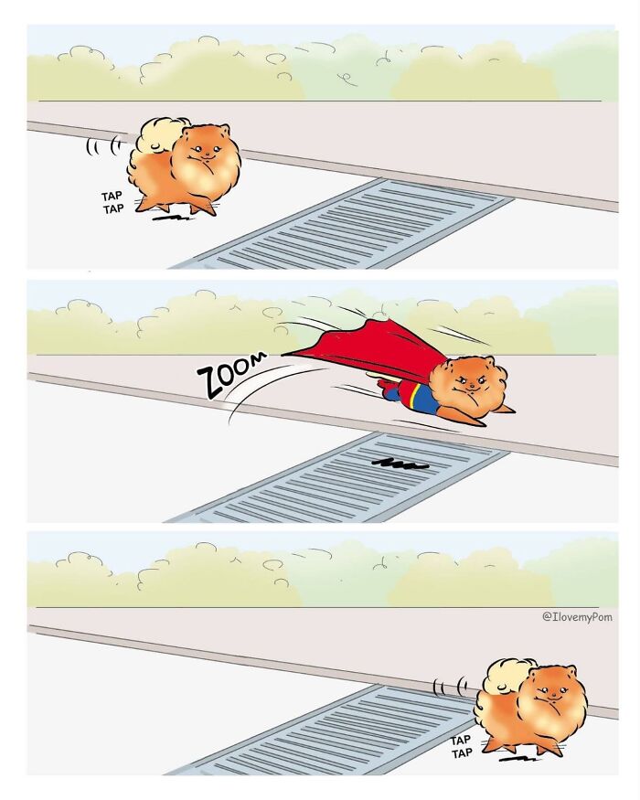 40 Hilariously Accurate Comics By This Artist That Perfectly Capture Life With A Pomeranian
