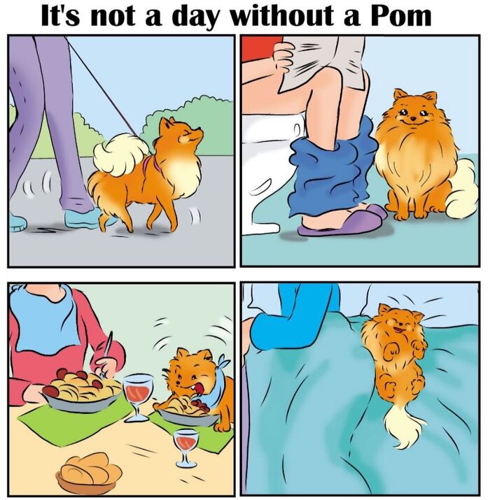 40 Hilariously Accurate Comics By This Artist That Perfectly Capture Life With A Pomeranian