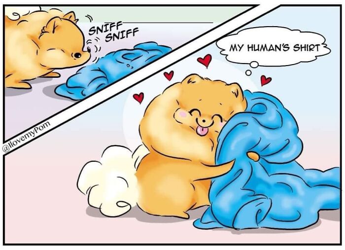 40 Hilariously Accurate Comics By This Artist That Perfectly Capture Life With A Pomeranian