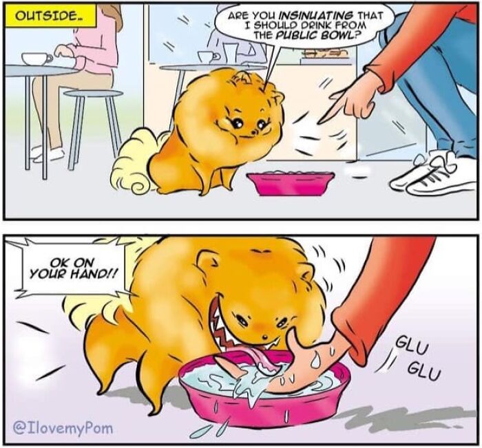 40 Hilariously Accurate Comics By This Artist That Perfectly Capture Life With A Pomeranian