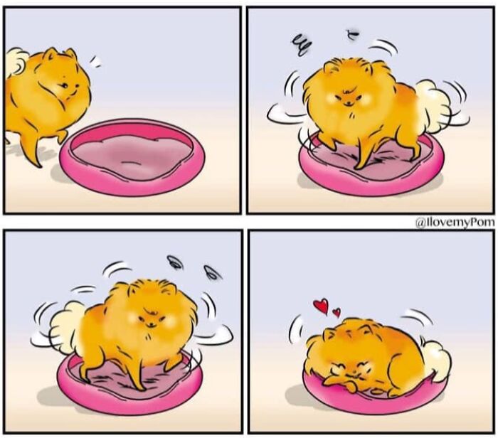 40 Hilariously Accurate Comics By This Artist That Perfectly Capture Life With A Pomeranian