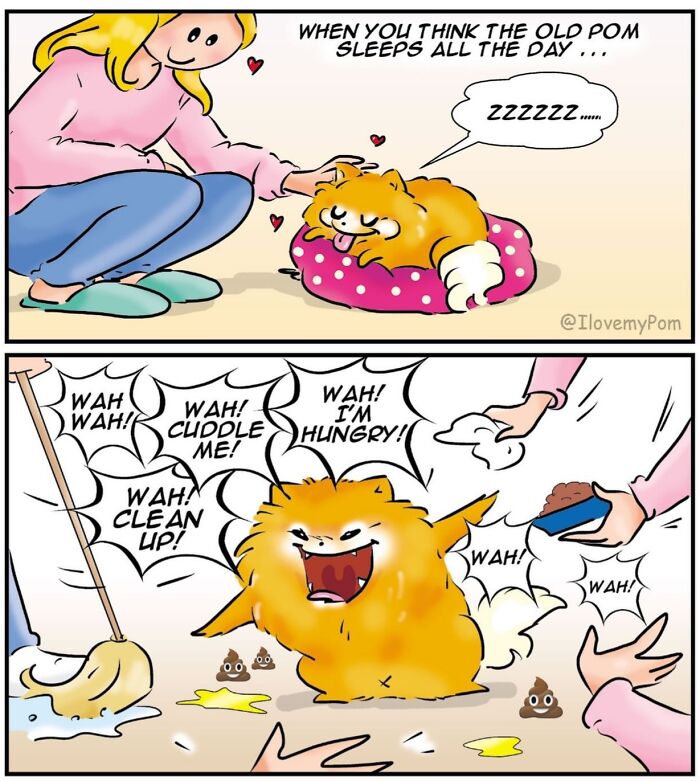 40 Hilariously Accurate Comics By This Artist That Perfectly Capture Life With A Pomeranian