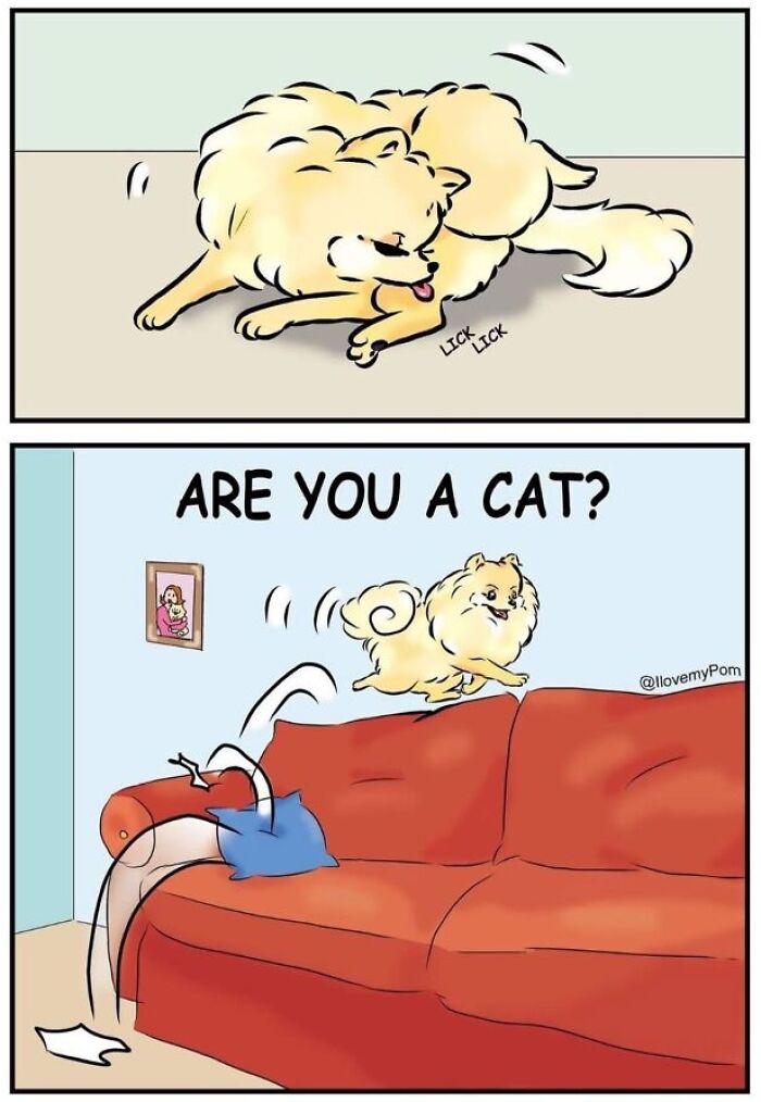 40 Hilariously Accurate Comics By This Artist That Perfectly Capture Life With A Pomeranian