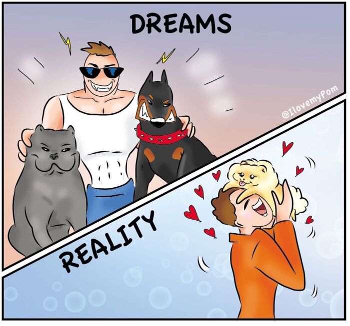 40 Hilariously Accurate Comics By This Artist That Perfectly Capture Life With A Pomeranian