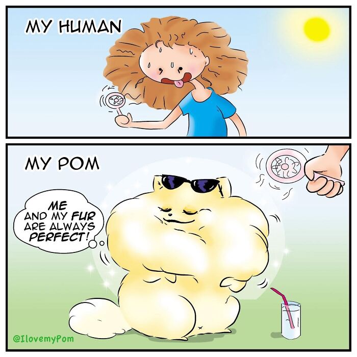 40 Hilariously Accurate Comics By This Artist That Perfectly Capture Life With A Pomeranian