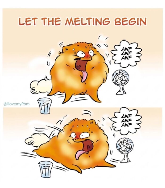 40 Hilariously Accurate Comics By This Artist That Perfectly Capture Life With A Pomeranian