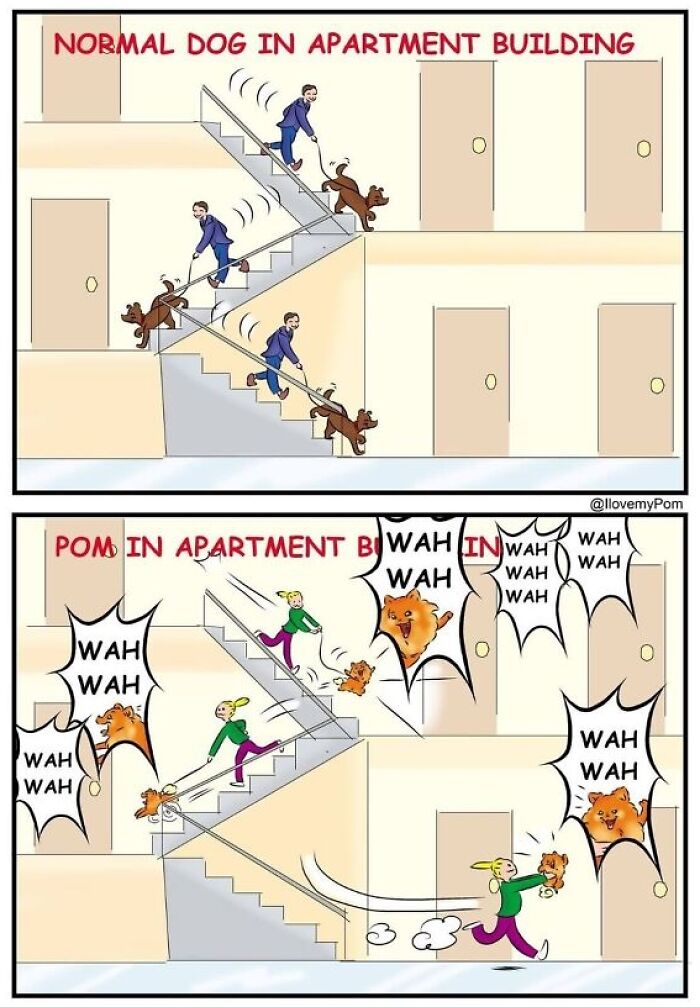 40 Hilariously Accurate Comics By This Artist That Perfectly Capture Life With A Pomeranian
