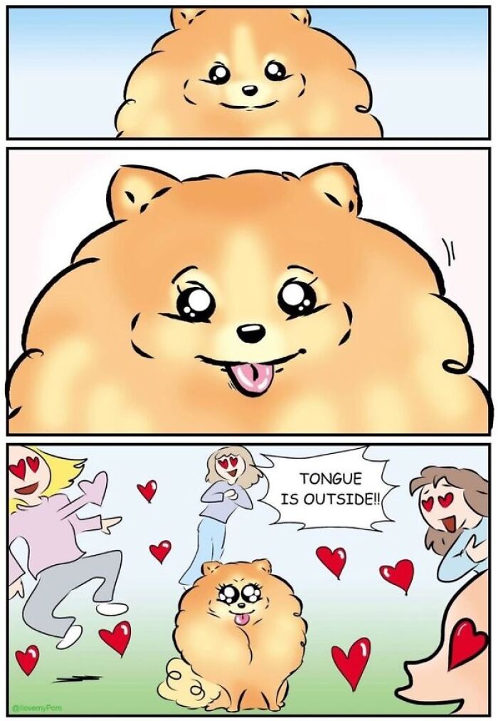40 Hilariously Accurate Comics By This Artist That Perfectly Capture Life With A Pomeranian