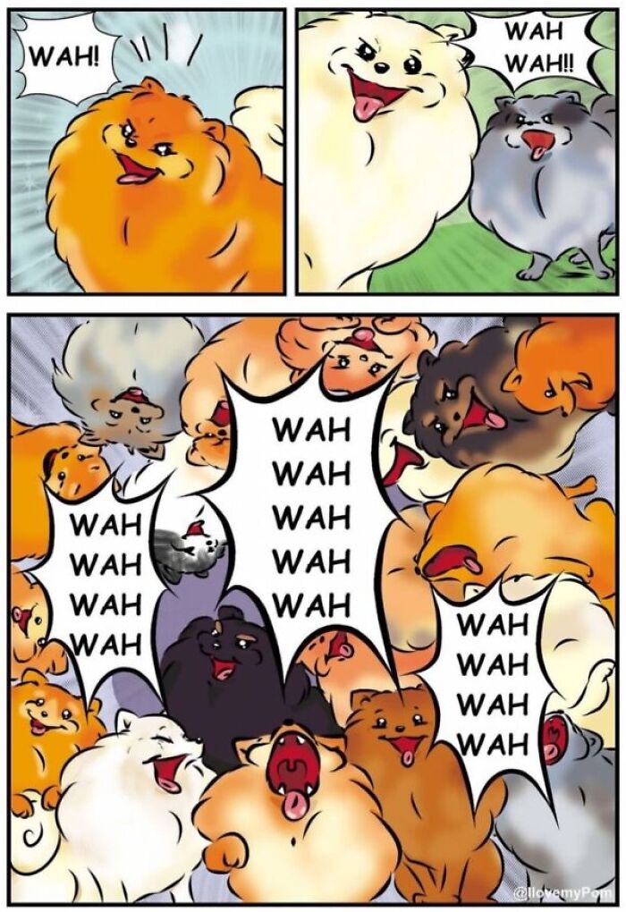40 Hilariously Accurate Comics By This Artist That Perfectly Capture Life With A Pomeranian