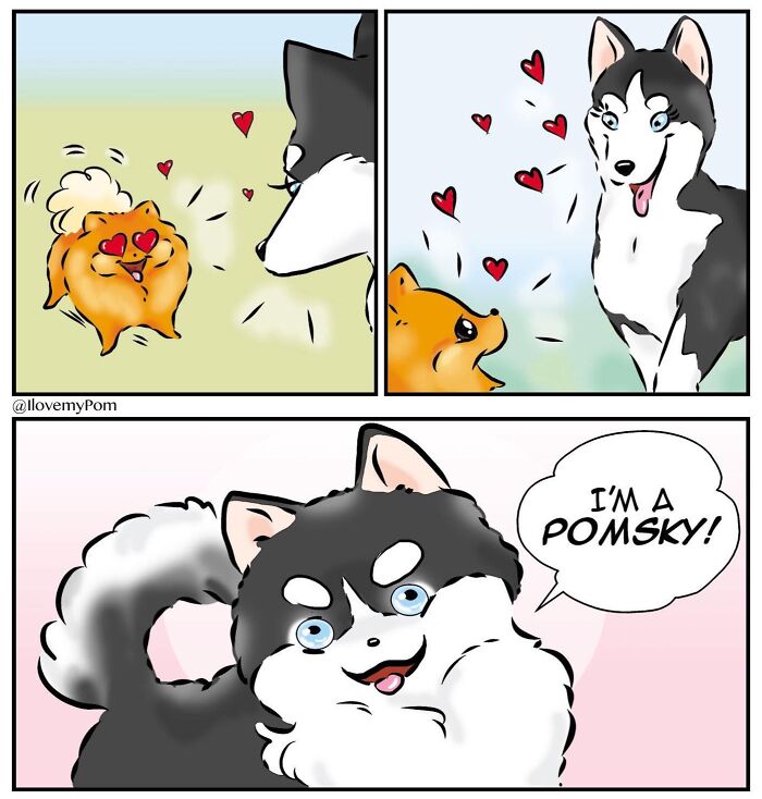 40 Hilariously Accurate Comics By This Artist That Perfectly Capture Life With A Pomeranian
