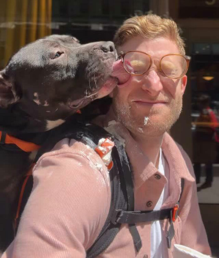 This Content Creator Carries Shelter Dogs Around NYC In A Backpack To Help Them Get Adopted This Content Creator Carries Shelter Dogs Around NYC In A Backpack To Help Them Get Adopted