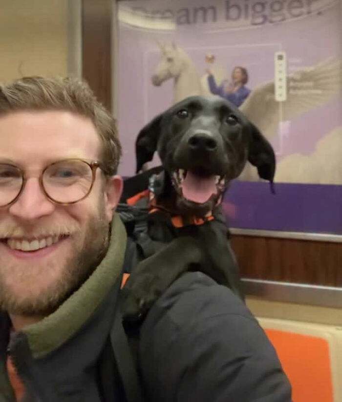 This Content Creator Carries Shelter Dogs Around NYC In A Backpack To Help Them Get Adopted This Content Creator Carries Shelter Dogs Around NYC In A Backpack To Help Them Get Adopted