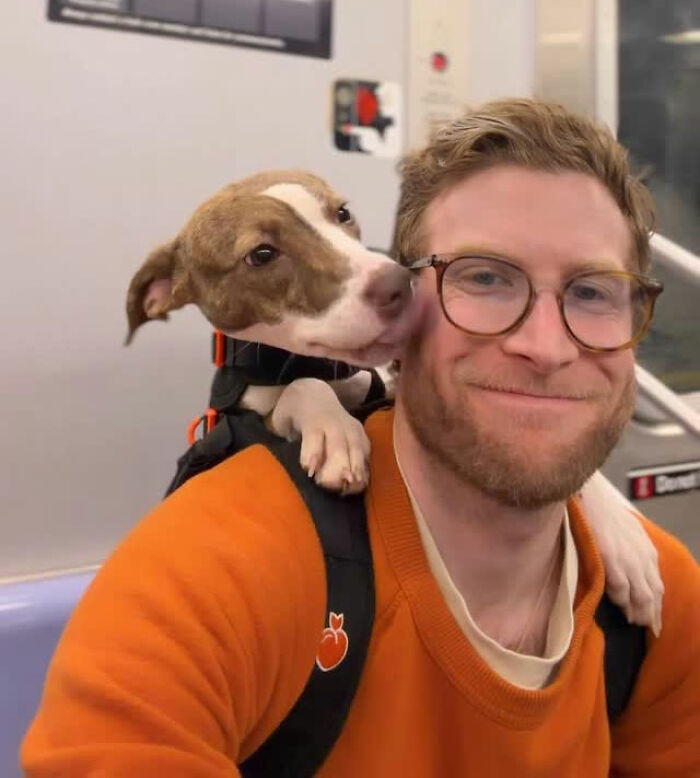 This Content Creator Carries Shelter Dogs Around NYC In A Backpack To Help Them Get Adopted This Content Creator Carries Shelter Dogs Around NYC In A Backpack To Help Them Get Adopted