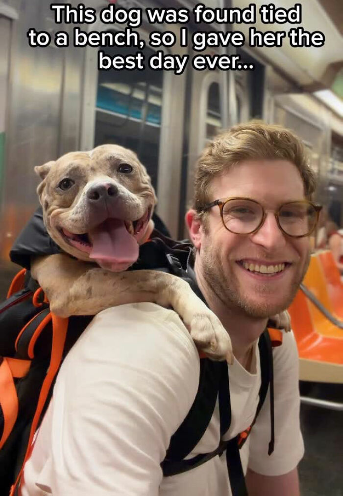 This Content Creator Carries Shelter Dogs Around NYC In A Backpack To Help Them Get Adopted This Content Creator Carries Shelter Dogs Around NYC In A Backpack To Help Them Get Adopted