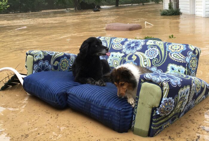 67 Couches That Would Make Any Interior Designer Want To Lie Down, But Not On Them 67 Couches That Would Make Any Interior Designer Want To Lie Down, But Not On Them