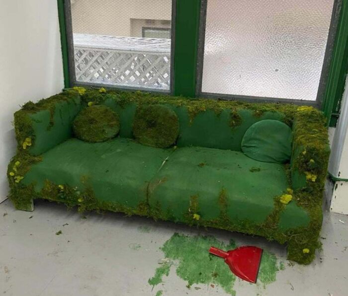 67 Couches That Would Make Any Interior Designer Want To Lie Down, But Not On Them 67 Couches That Would Make Any Interior Designer Want To Lie Down, But Not On Them