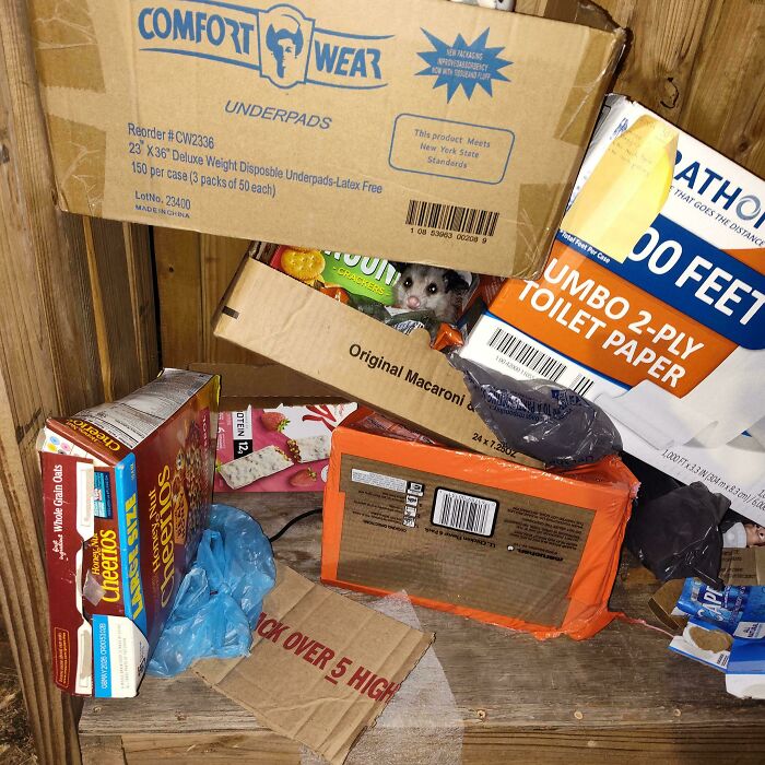 105 Times People Couldn’t Believe Their Luck While Dumpster Diving (New Pics) 105 Times People Couldn’t Believe Their Luck While Dumpster Diving (New Pics)