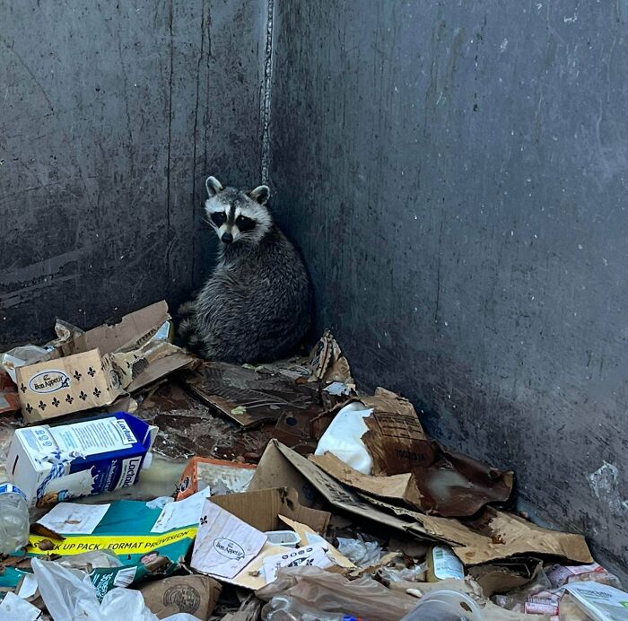 105 Times People Couldn’t Believe Their Luck While Dumpster Diving (New Pics) 105 Times People Couldn’t Believe Their Luck While Dumpster Diving (New Pics)