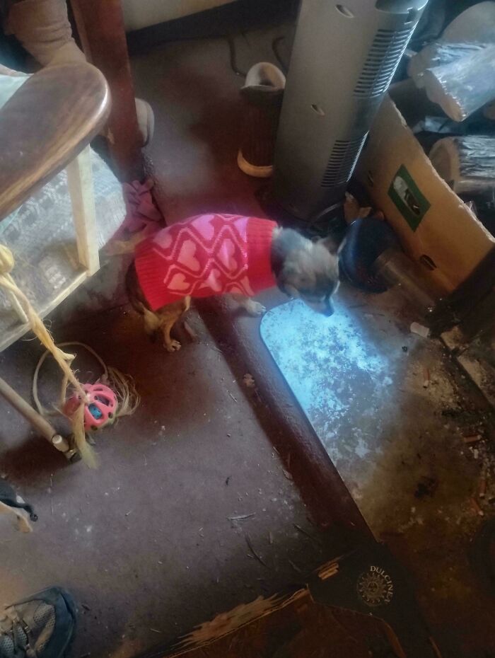105 Times People Couldn’t Believe Their Luck While Dumpster Diving (New Pics) 105 Times People Couldn’t Believe Their Luck While Dumpster Diving (New Pics)