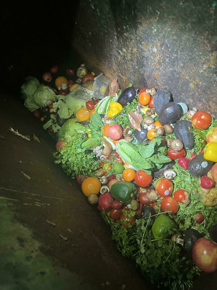 105 Times People Couldn’t Believe Their Luck While Dumpster Diving (New Pics) 105 Times People Couldn’t Believe Their Luck While Dumpster Diving (New Pics)