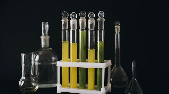 “Are You A Lab Rat?”: Challenge Your Mind With These 20 Science Questions “Are You A Lab Rat?”: Challenge Your Mind With These 20 Science Questions