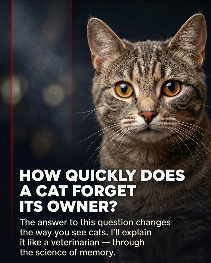 “Stands Like A Human”: 35 Surprising Facts And Stories About Animals That Might Teach You Something New “Stands Like A Human”: 35 Surprising Facts And Stories About Animals That Might Teach You Something New