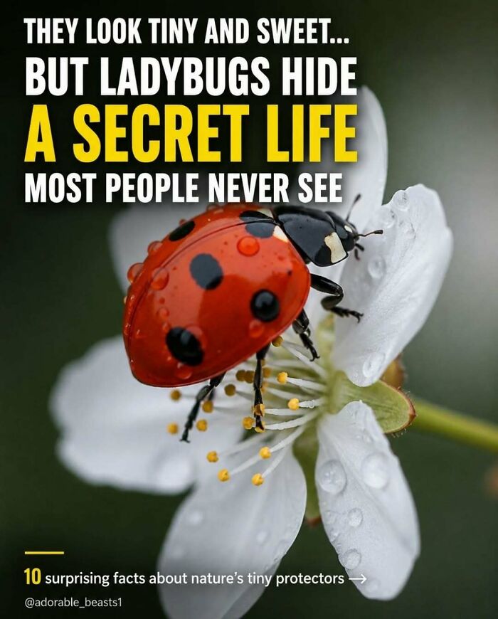 “Stands Like A Human”: 35 Surprising Facts And Stories About Animals That Might Teach You Something New “Stands Like A Human”: 35 Surprising Facts And Stories About Animals That Might Teach You Something New