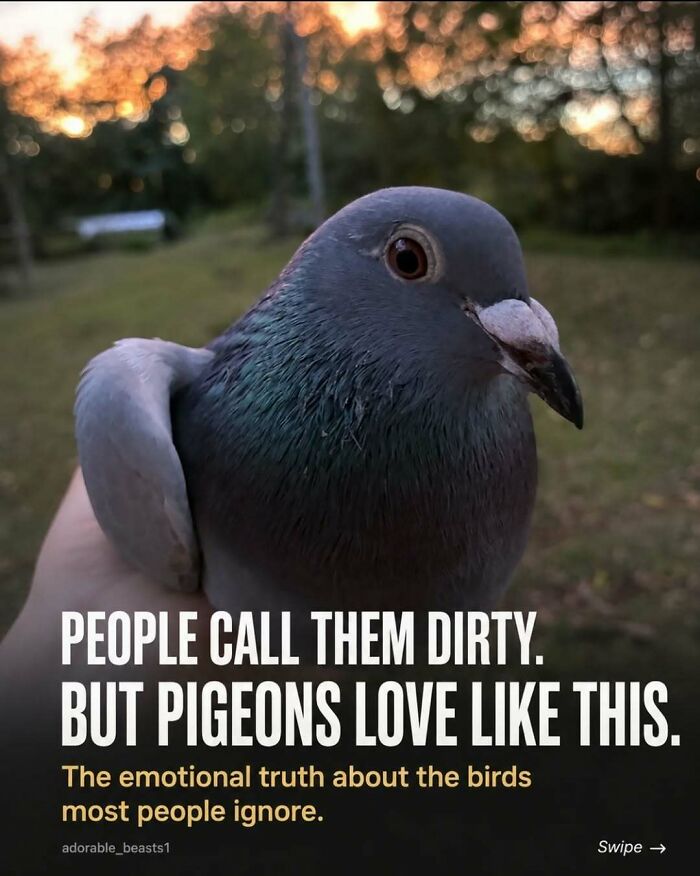 “Stands Like A Human”: 35 Surprising Facts And Stories About Animals That Might Teach You Something New “Stands Like A Human”: 35 Surprising Facts And Stories About Animals That Might Teach You Something New