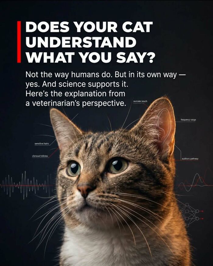 “Stands Like A Human”: 35 Surprising Facts And Stories About Animals That Might Teach You Something New “Stands Like A Human”: 35 Surprising Facts And Stories About Animals That Might Teach You Something New