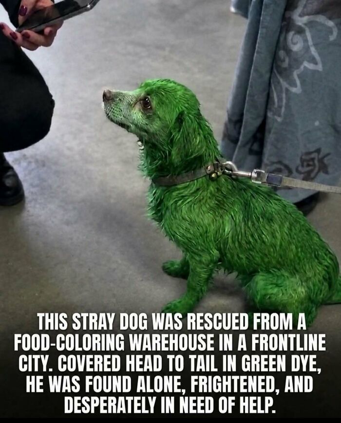 “Stands Like A Human”: 35 Surprising Facts And Stories About Animals That Might Teach You Something New “Stands Like A Human”: 35 Surprising Facts And Stories About Animals That Might Teach You Something New