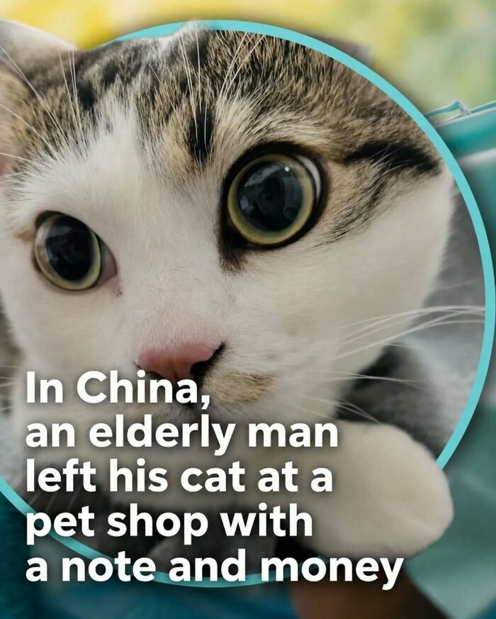 “Stands Like A Human”: 35 Surprising Facts And Stories About Animals That Might Teach You Something New “Stands Like A Human”: 35 Surprising Facts And Stories About Animals That Might Teach You Something New