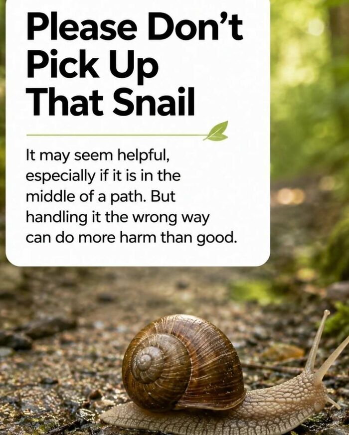 “Stands Like A Human”: 35 Surprising Facts And Stories About Animals That Might Teach You Something New “Stands Like A Human”: 35 Surprising Facts And Stories About Animals That Might Teach You Something New