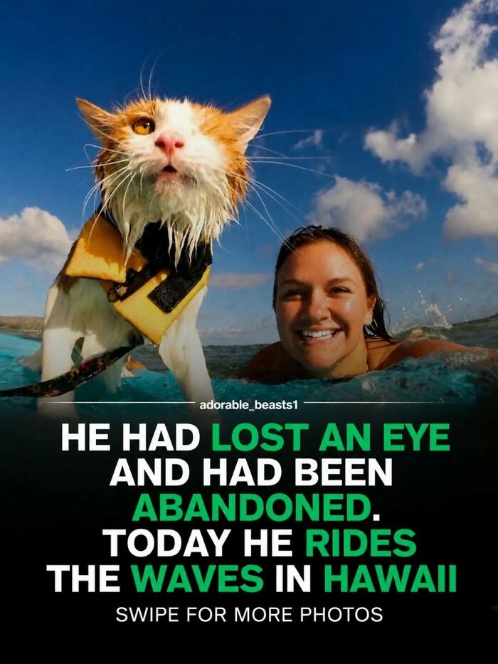 “Stands Like A Human”: 35 Surprising Facts And Stories About Animals That Might Teach You Something New “Stands Like A Human”: 35 Surprising Facts And Stories About Animals That Might Teach You Something New