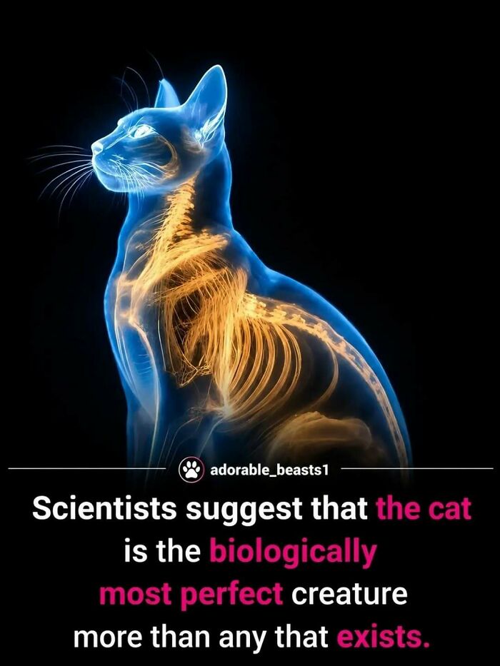 “Stands Like A Human”: 35 Surprising Facts And Stories About Animals That Might Teach You Something New “Stands Like A Human”: 35 Surprising Facts And Stories About Animals That Might Teach You Something New