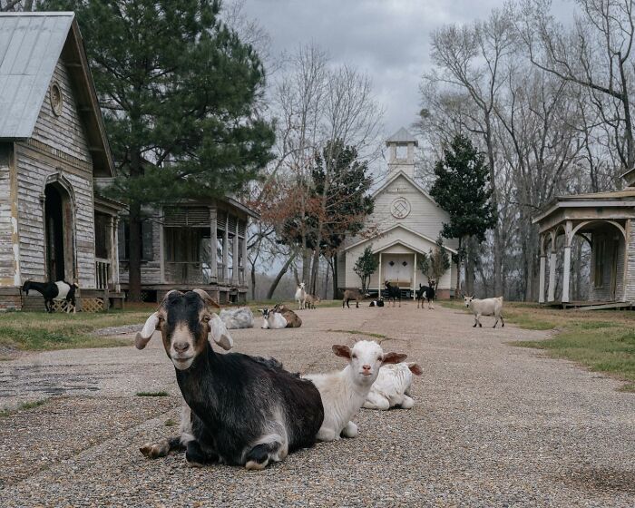 55 Eerie Photos Of Abandoned Places And Forgotten Corners Of America By Brendon Burton 55 Eerie Photos Of Abandoned Places And Forgotten Corners Of America By Brendon Burton